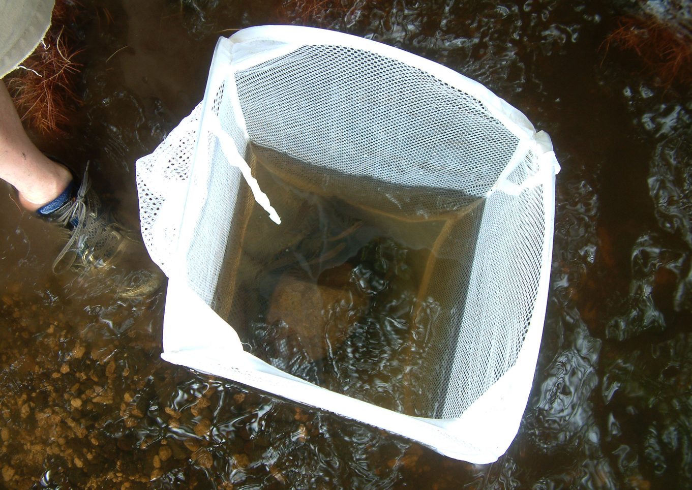 ferðir fiahlo