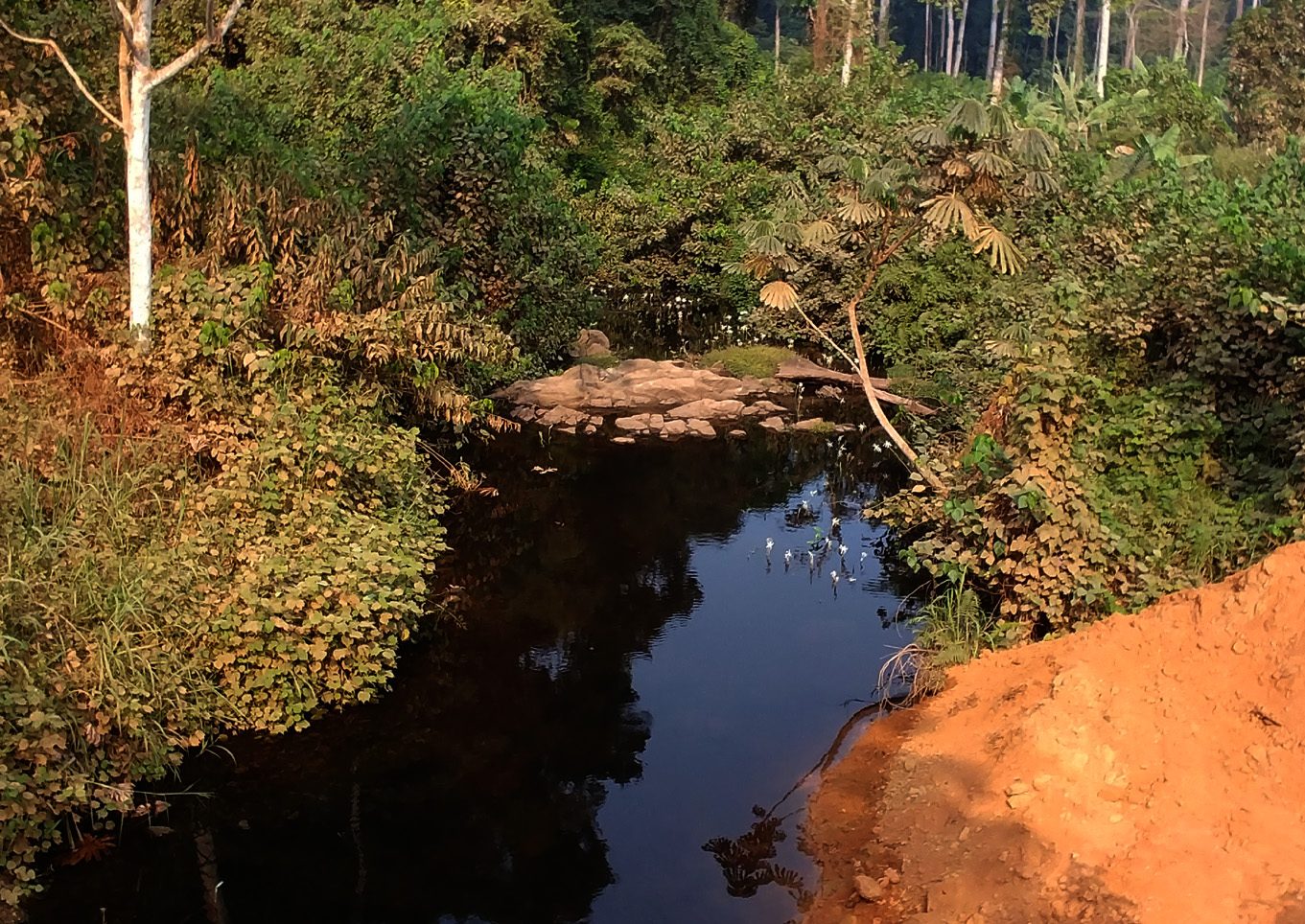 wouri cameroon