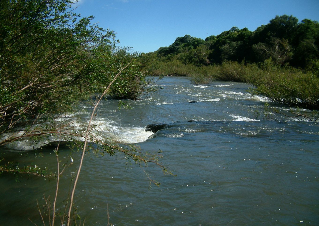 ferðir rio cuareim