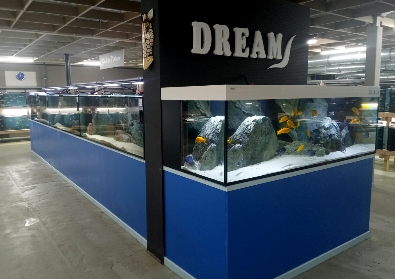 fiskabúðir Aquahaus gaus
