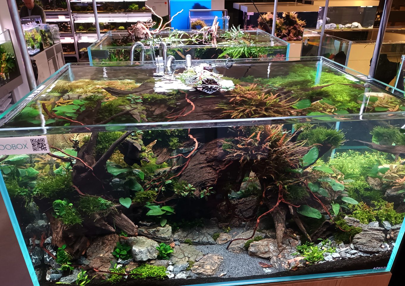 Uppsett búr Zoo box