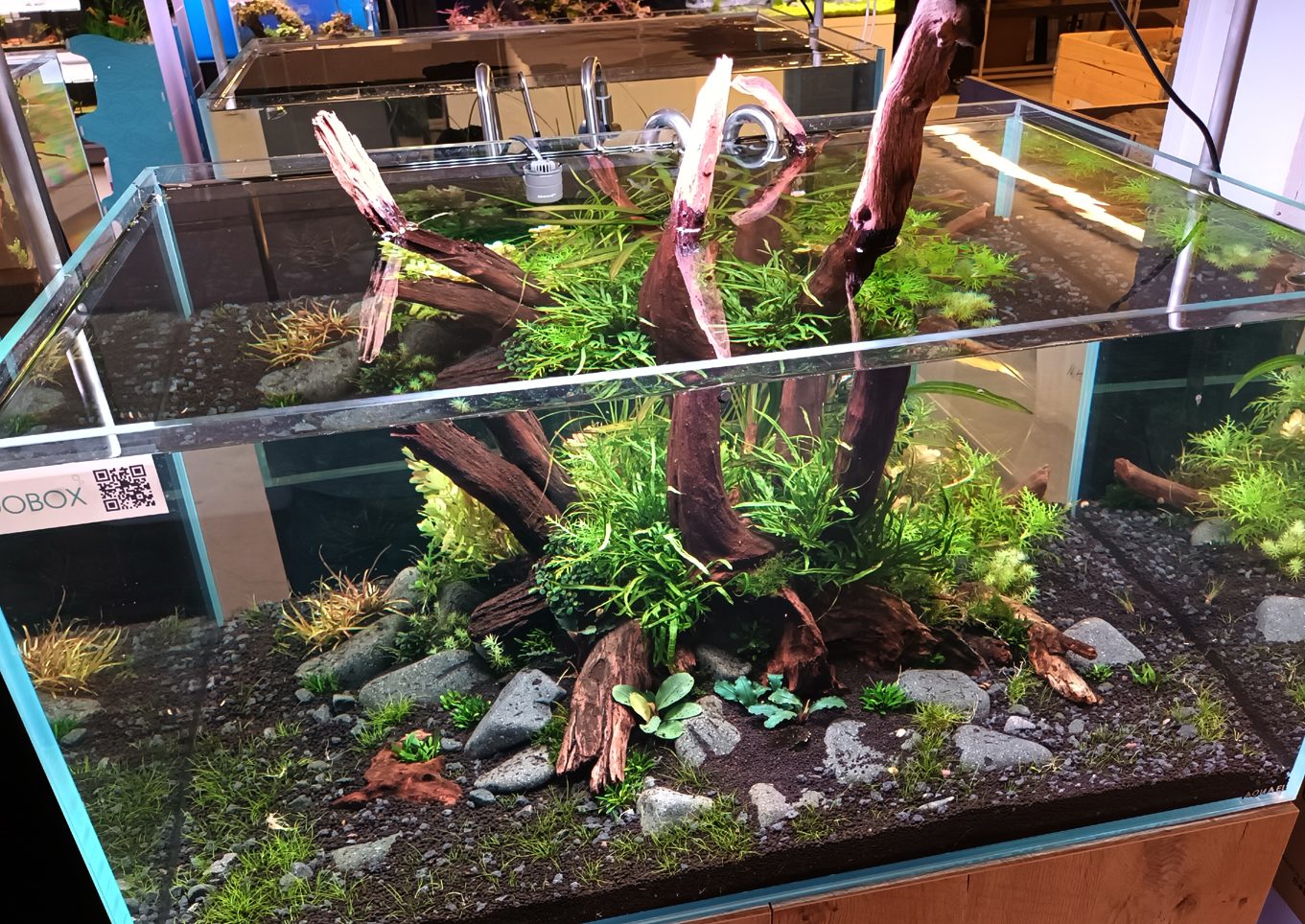 Uppsett búr Zoo box