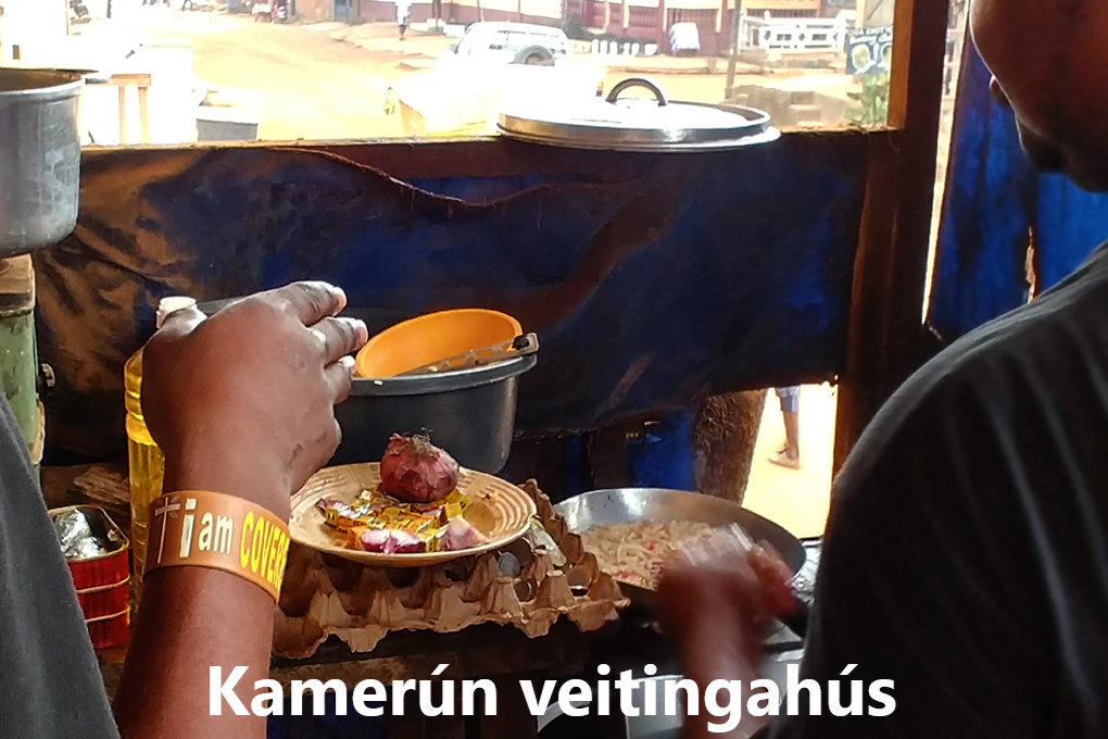 ýmislegt annað úr ferðum