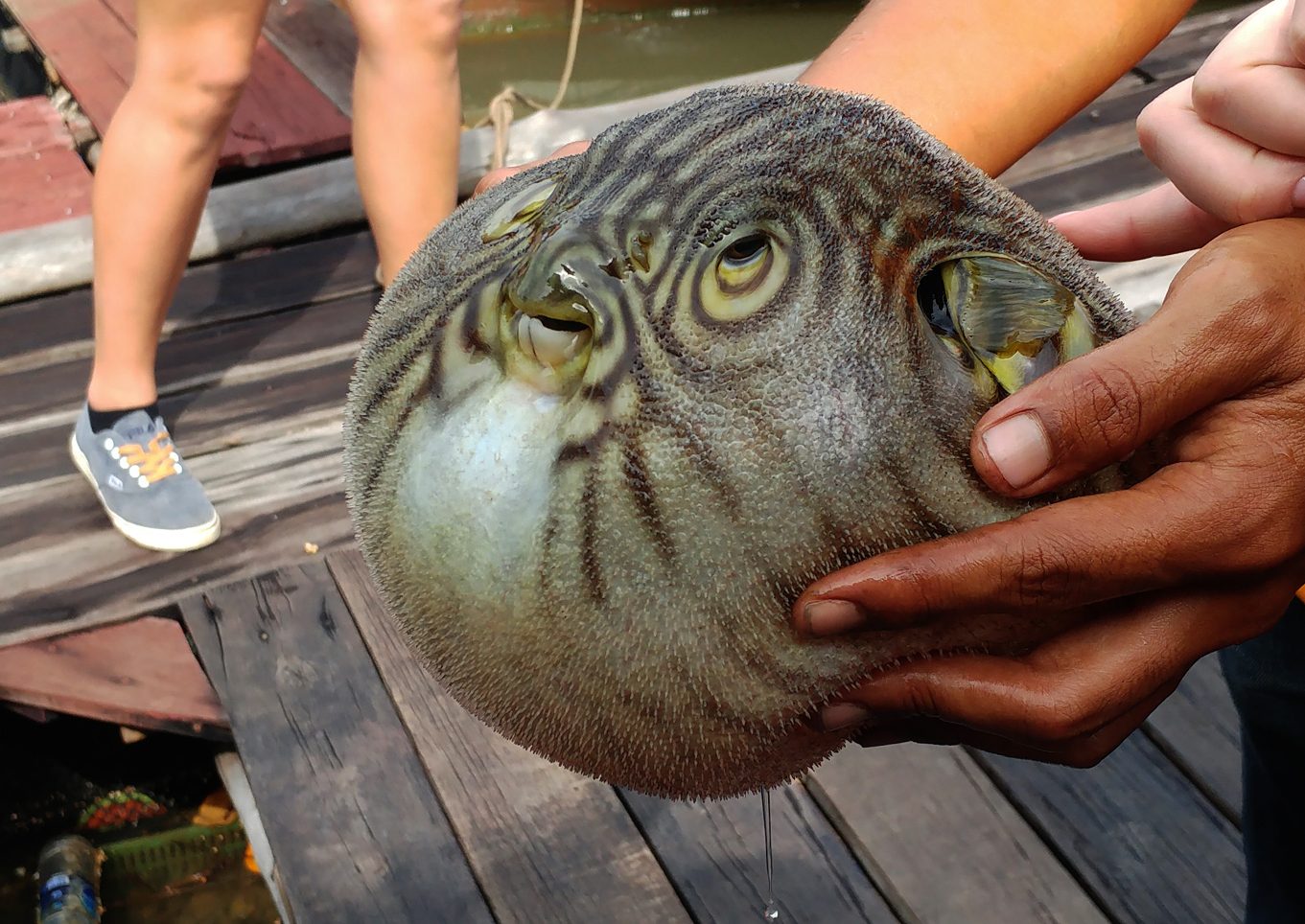 Ferðir Thailand Krabi