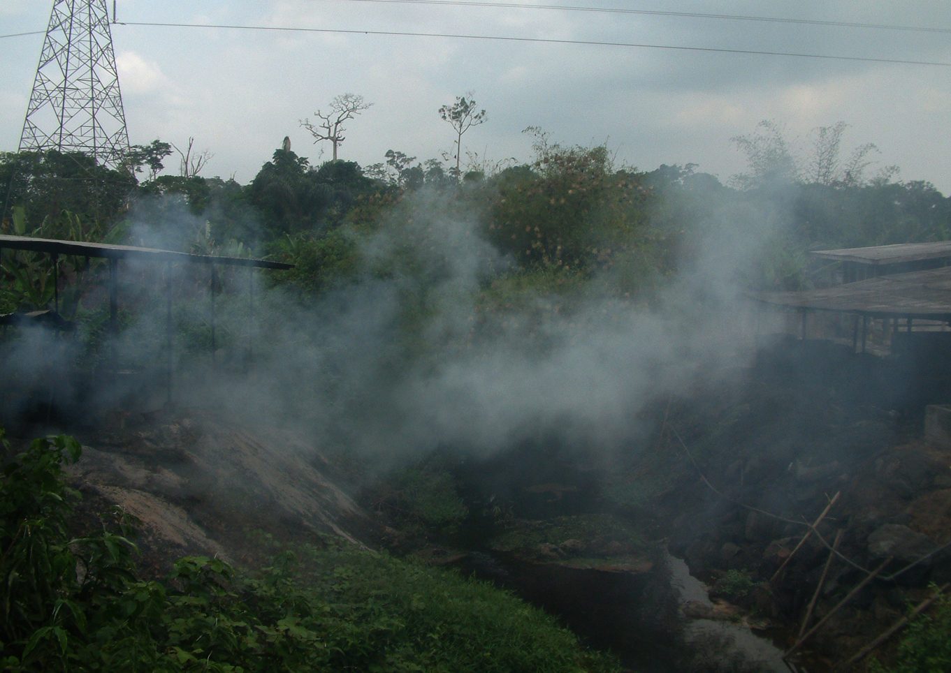 ferðir palm oil cameroon