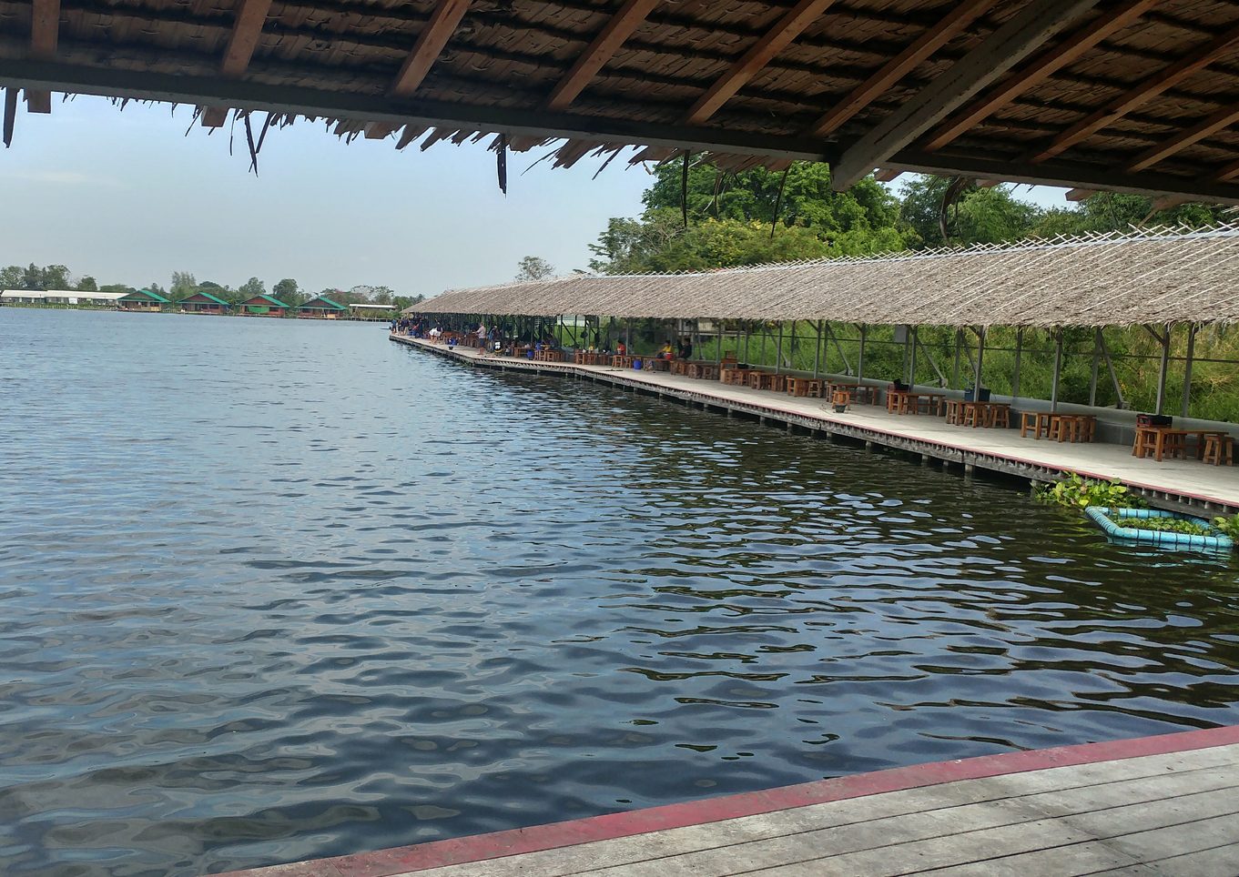 Ferðir Pangasius Thailand