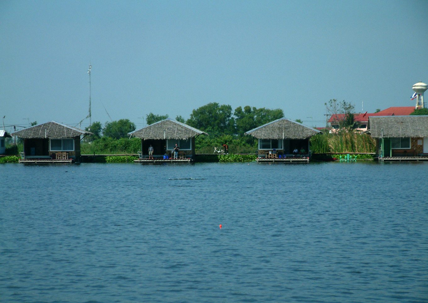 Ferðir Pangasius Thailand