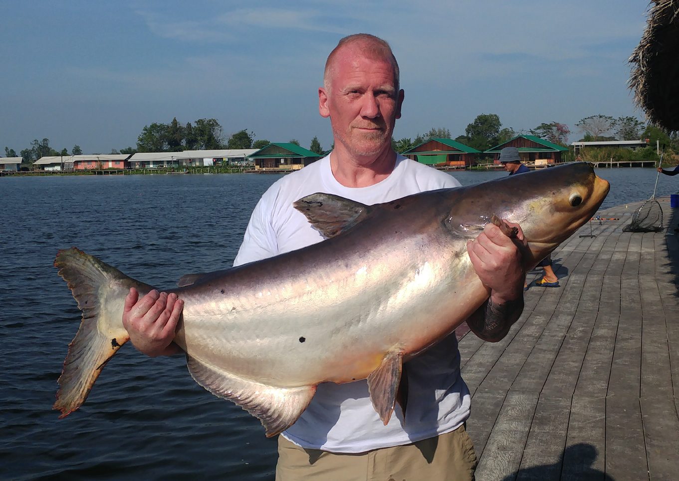 Ferðir Pangasius Thailand