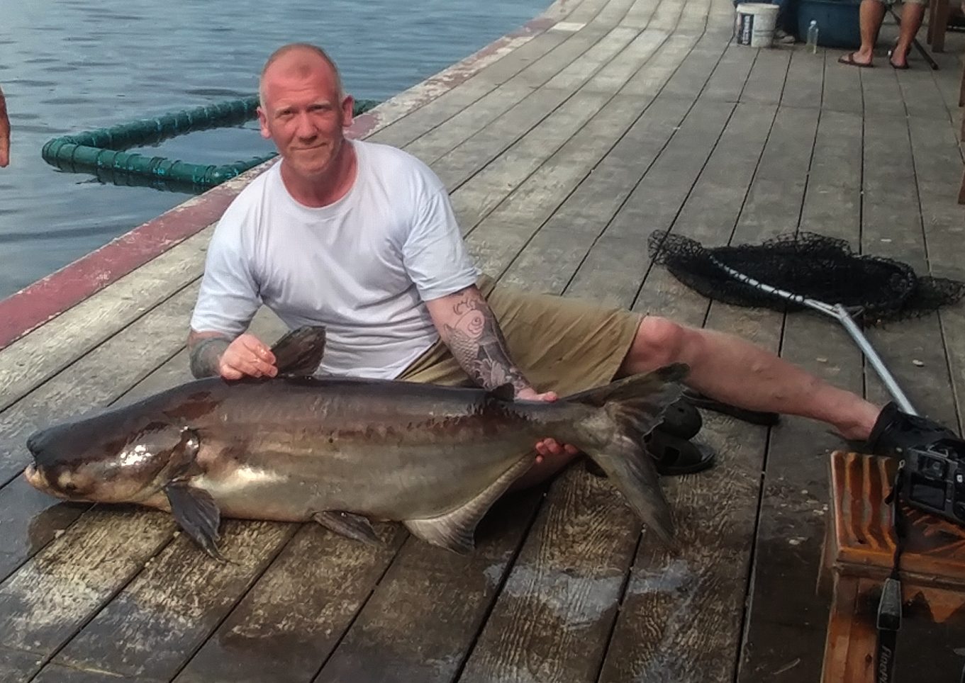 Ferðir Pangasius Thailand