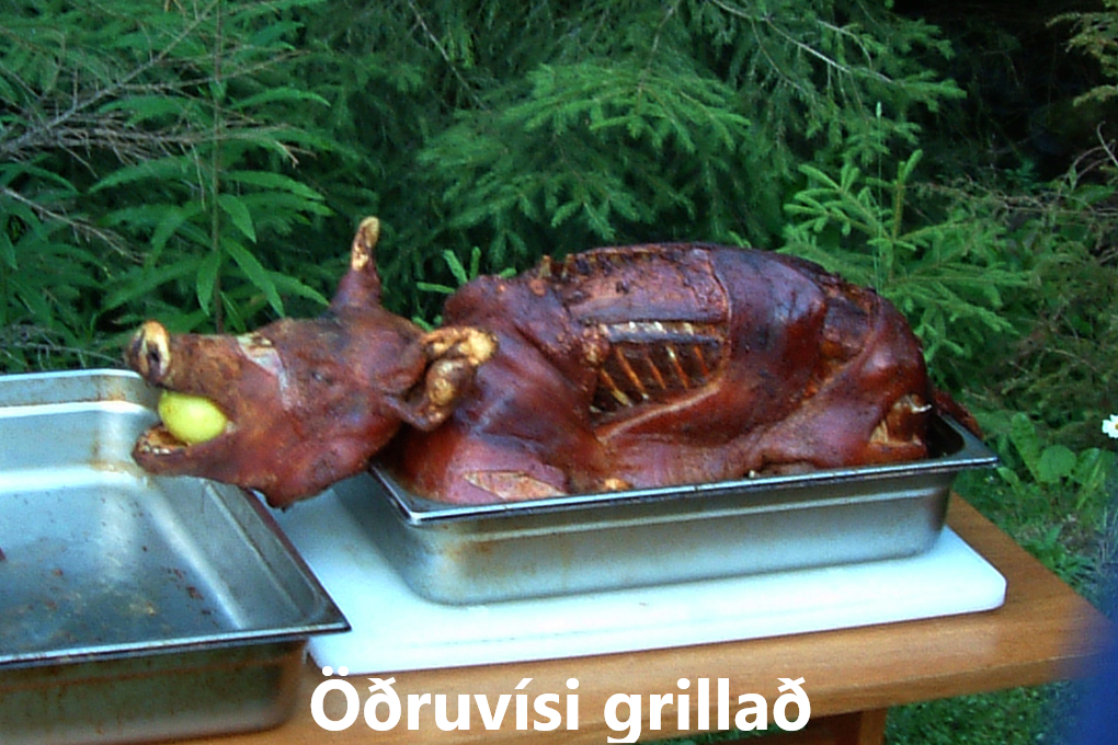 ýmislegt annað úr ferðum