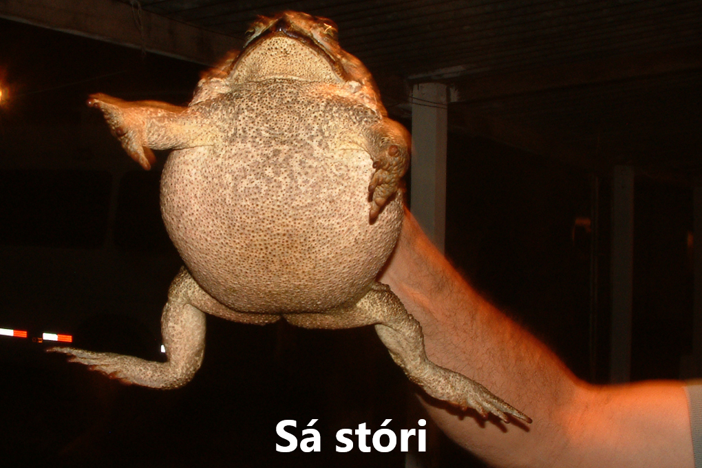 Froskar náttúra