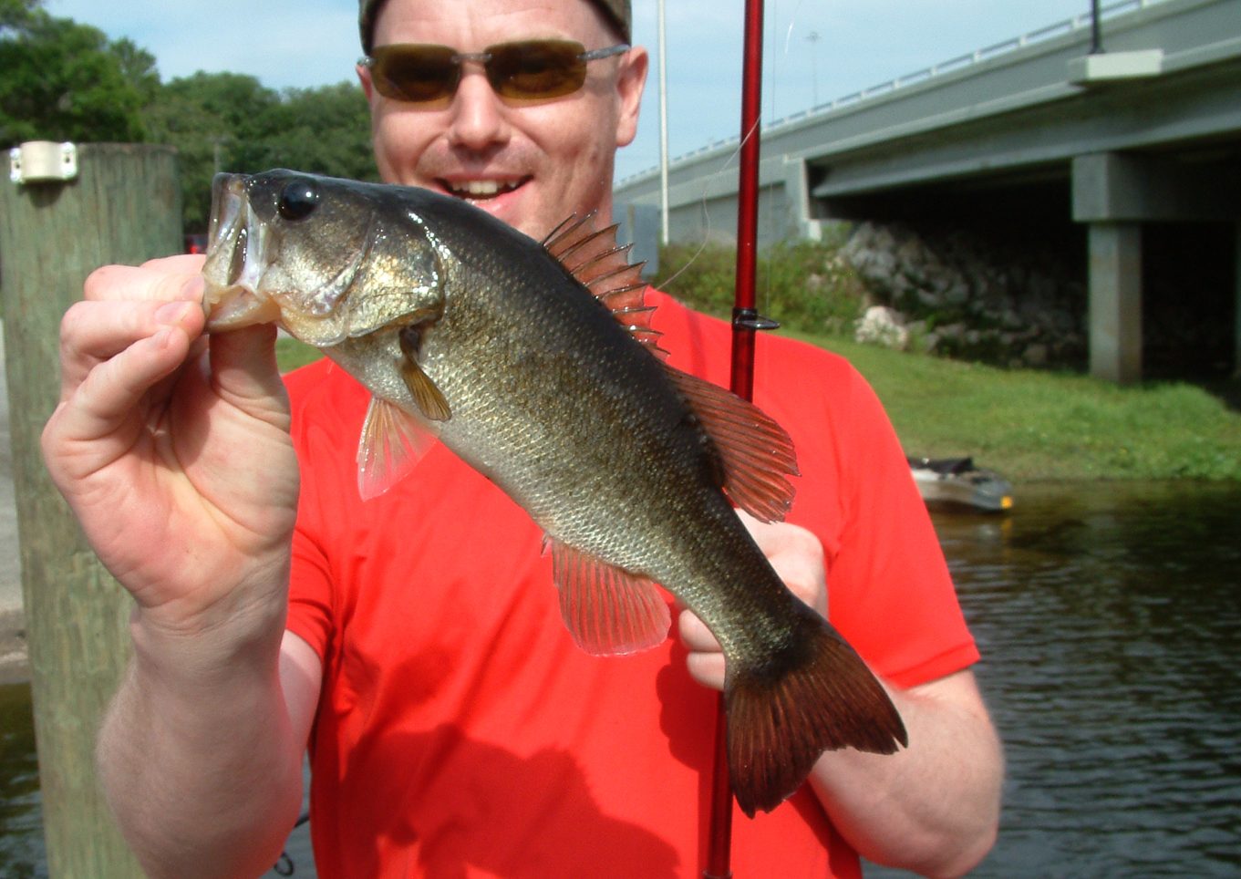Everglades 6