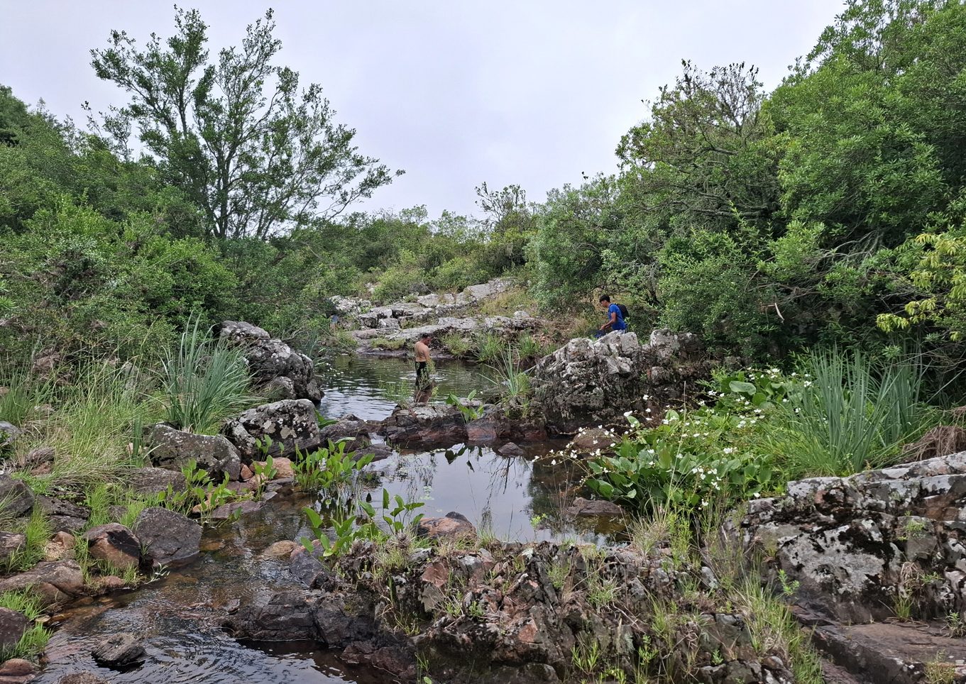 Salamanca lækur